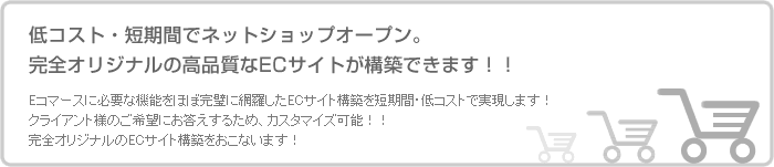 低コスト・短期間でネットショップオープン。完全オリジナルの高品質なECサイトが構築できます