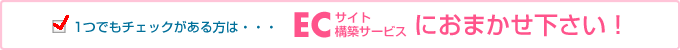 1つでもチェックがある方は・・・ECサイト構築サービスにおまかせ下さい！